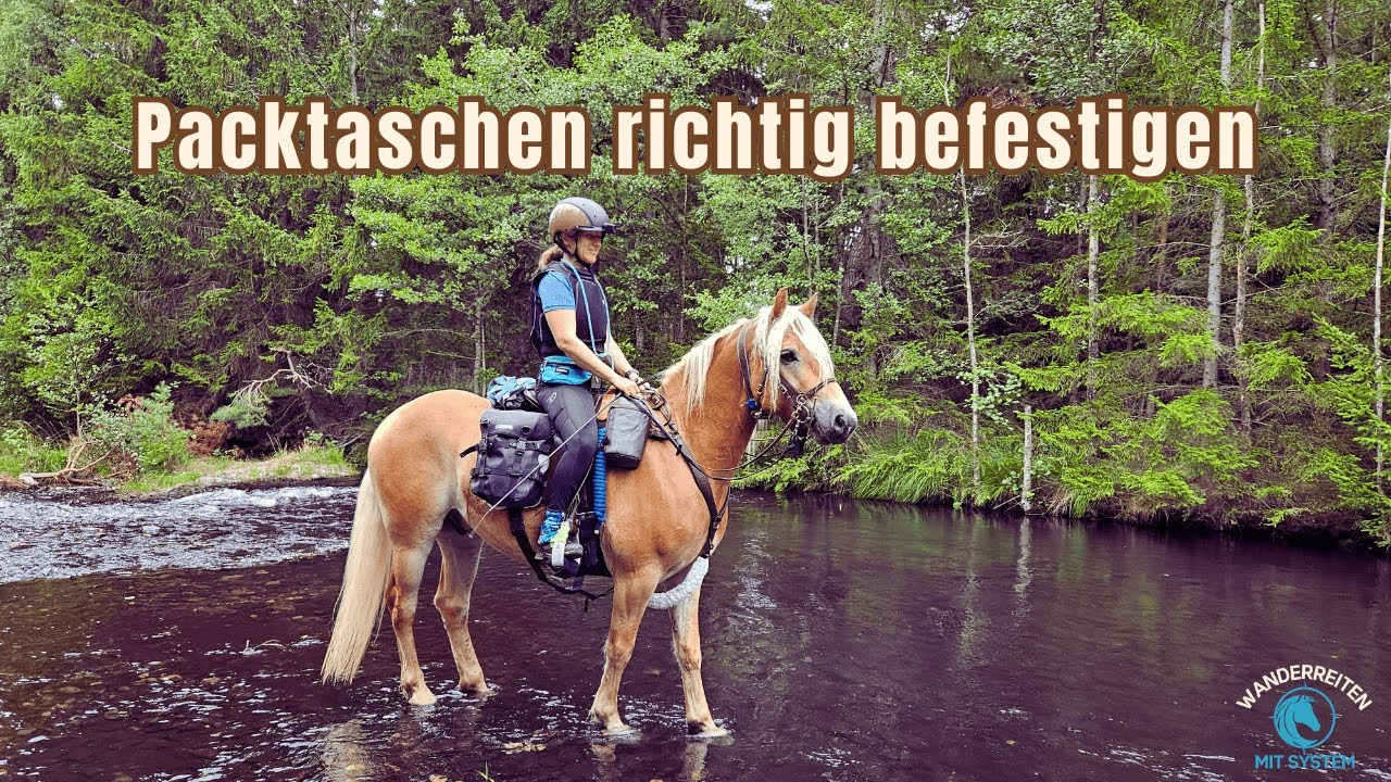 Packtaschen am Sattel befestigen &ndash; Tipps f&uuml;rs Wanderreiten