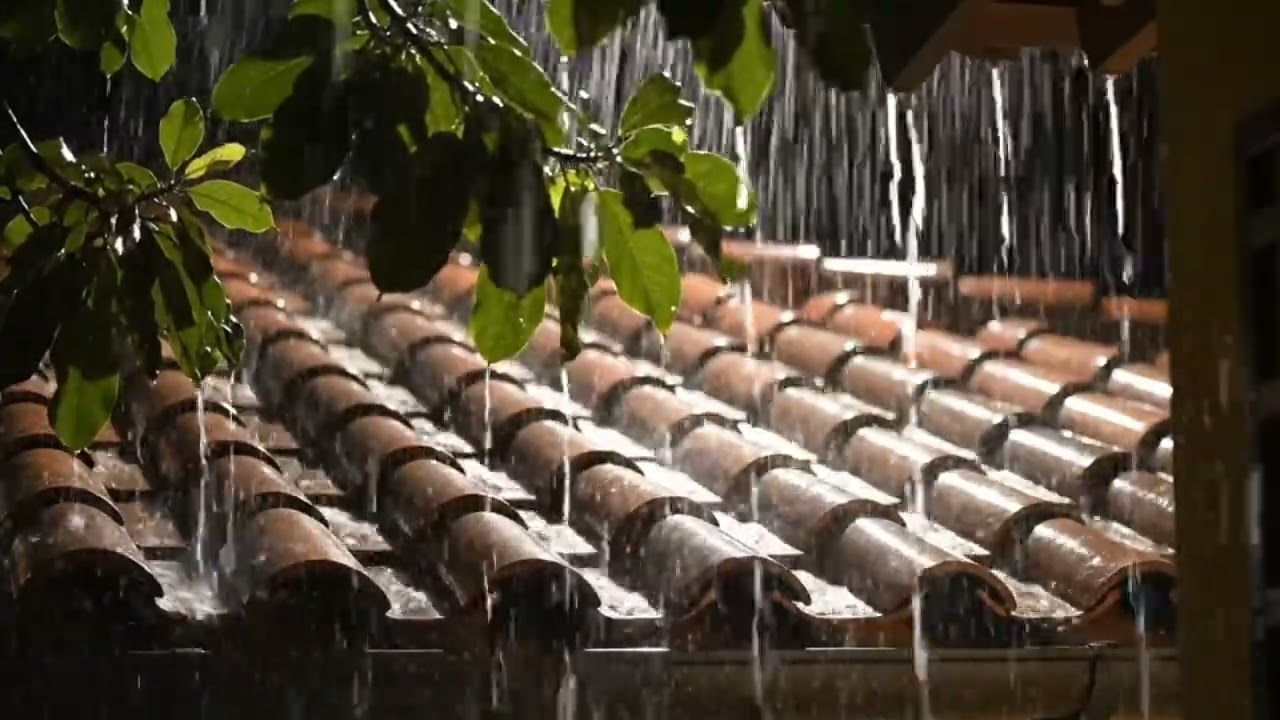 Rain in the Jungle for Deep Relaxation