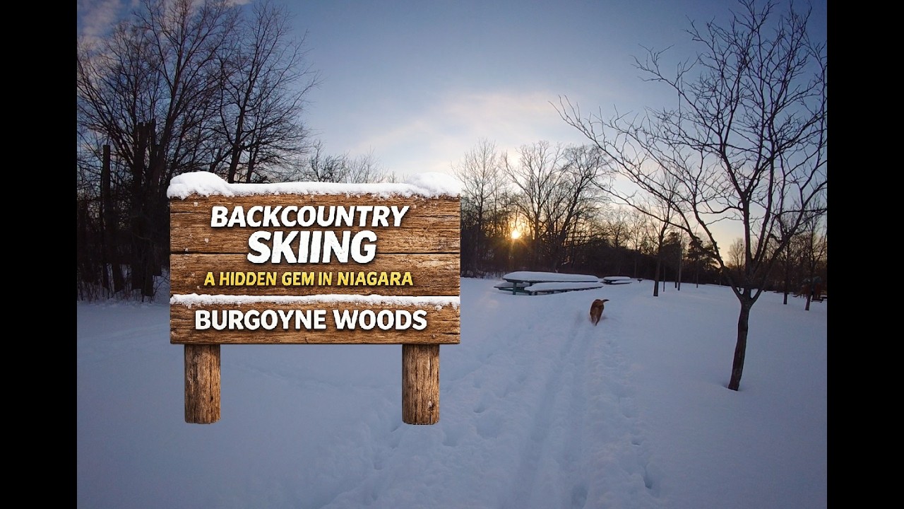 Backcountry Skiing a Hidden Gem in Niagara | Burgoyne Woods