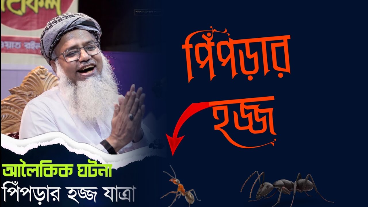 পিপড়ার হজ্জের অলৌকিক ঘটনা - শায়খ ড. মুশতাক আহমদ