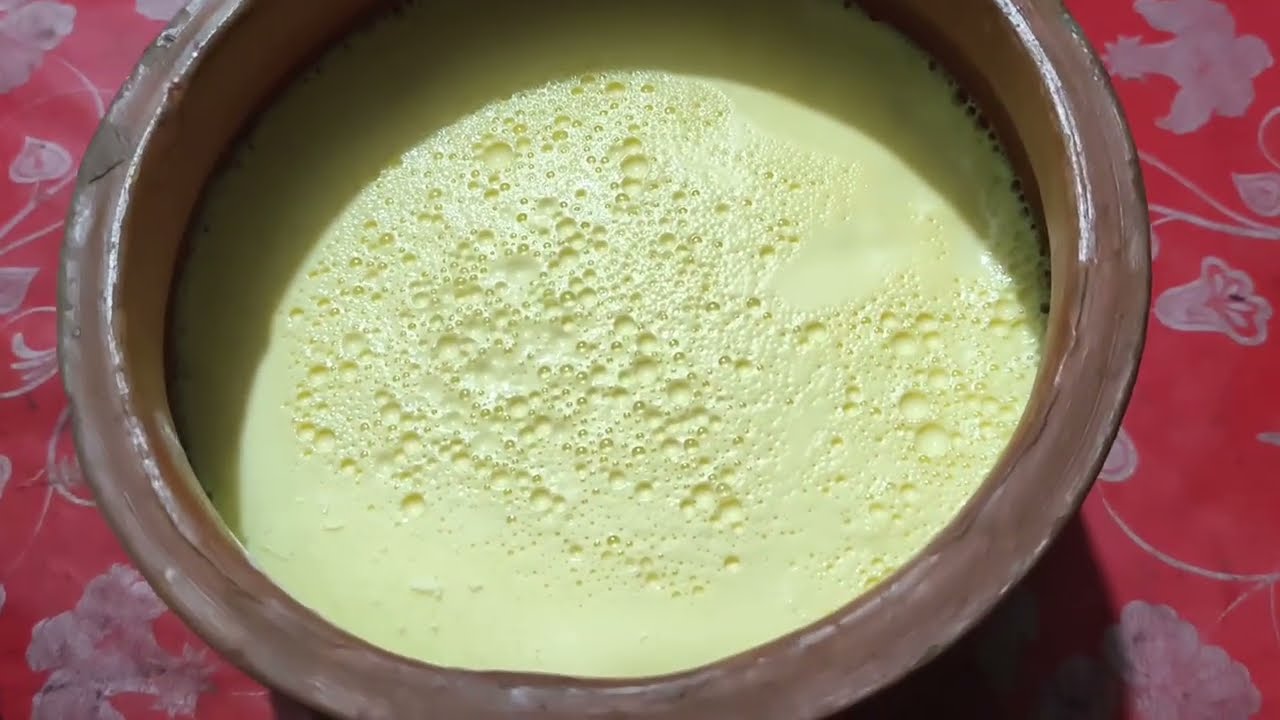 মাত্র ৩০ মিনিটে পারফেক্ট টক দই তৈরি করার রেসিপি || বাঙালি টক দইয়ের রেসিপি ||
