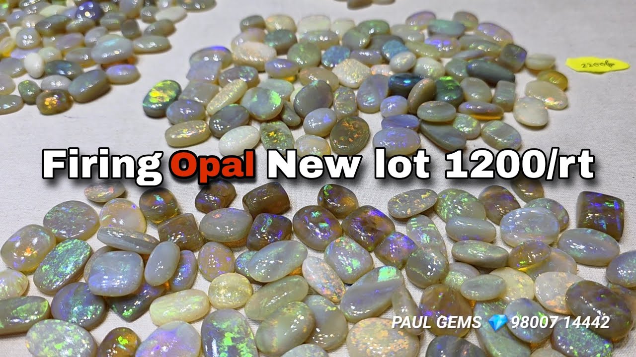 Australian Firing Opal New Lot 1200/rt details about opal price & Benifit || Opal For Venues 💥