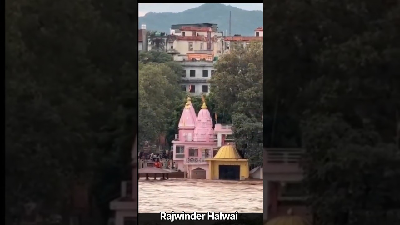 Nipal, Radhopur, Bihar Floods #short #viral #youtubeshorts #india #bihar #nepal #flood
