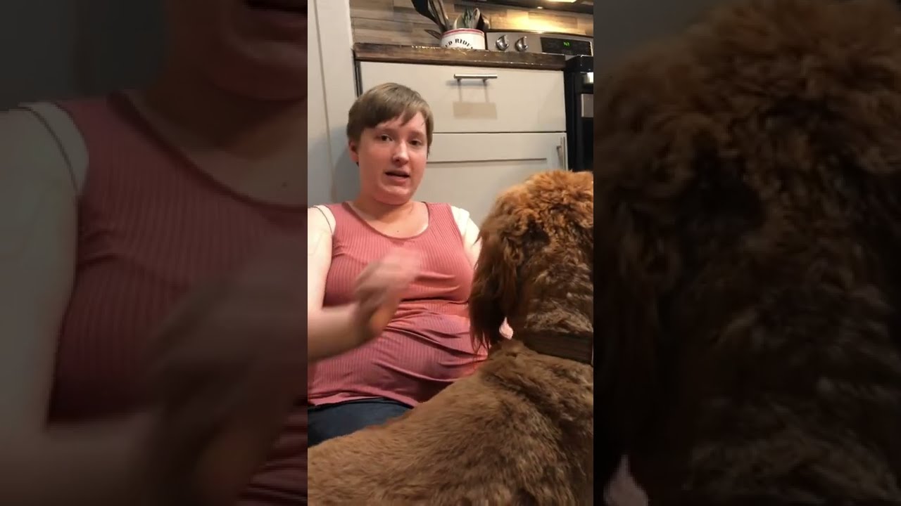 Service dog reacts to low blood pressure