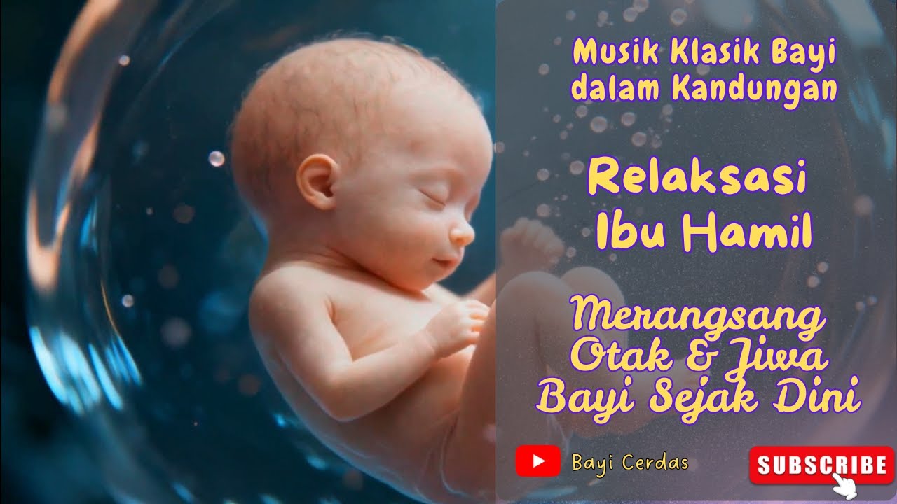 Musik Klasik untuk Bayi dalam Kandungan | Merangsang Otak &Jiwa Bayi Sejak Dini &Relaksasi Ibu Hamil