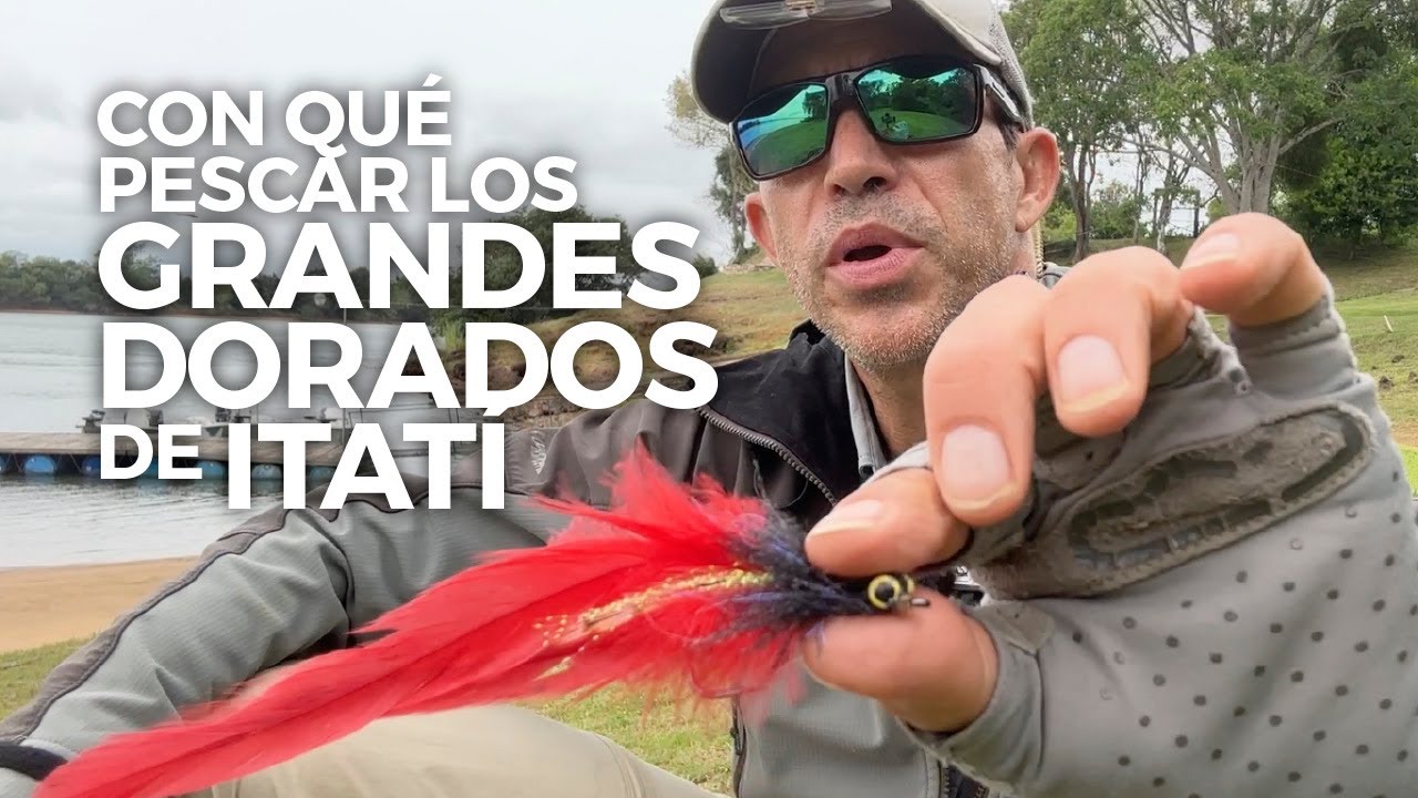 Con qué pescar los grandes dorados de Itatí
