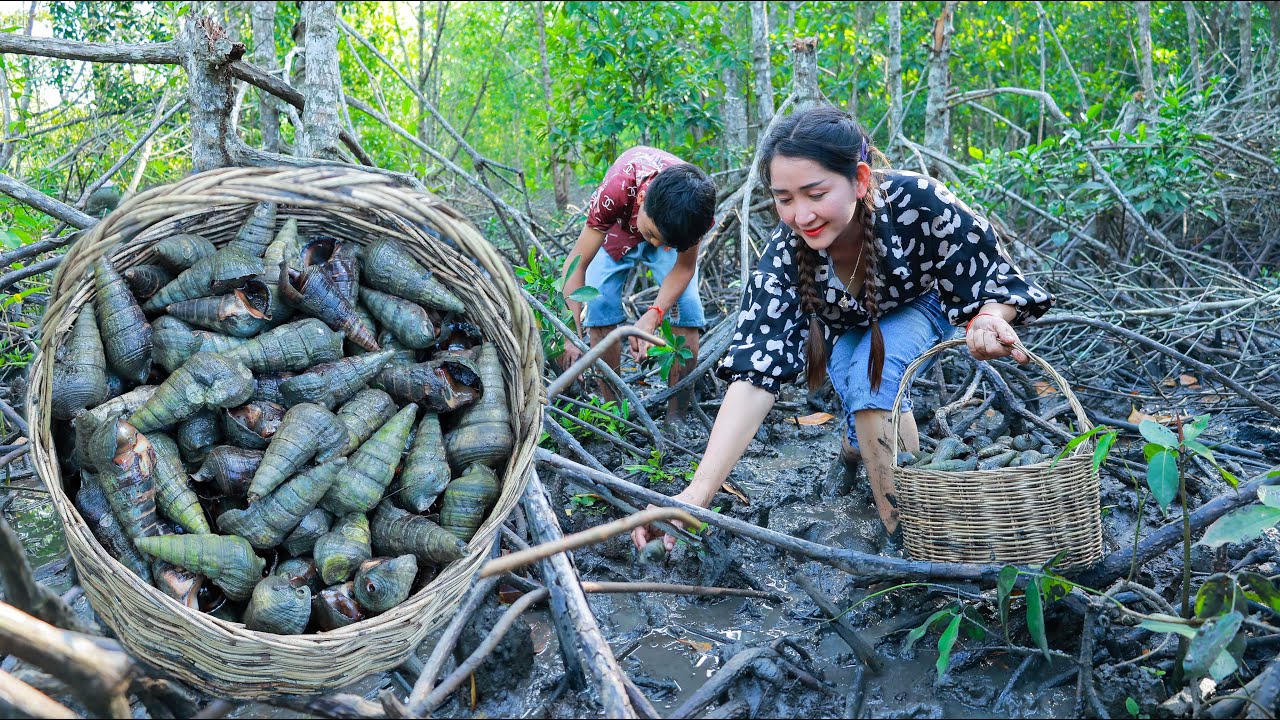 Collect sea snail in mangrove shrub on the island in my village | Bring sea snail home for salad