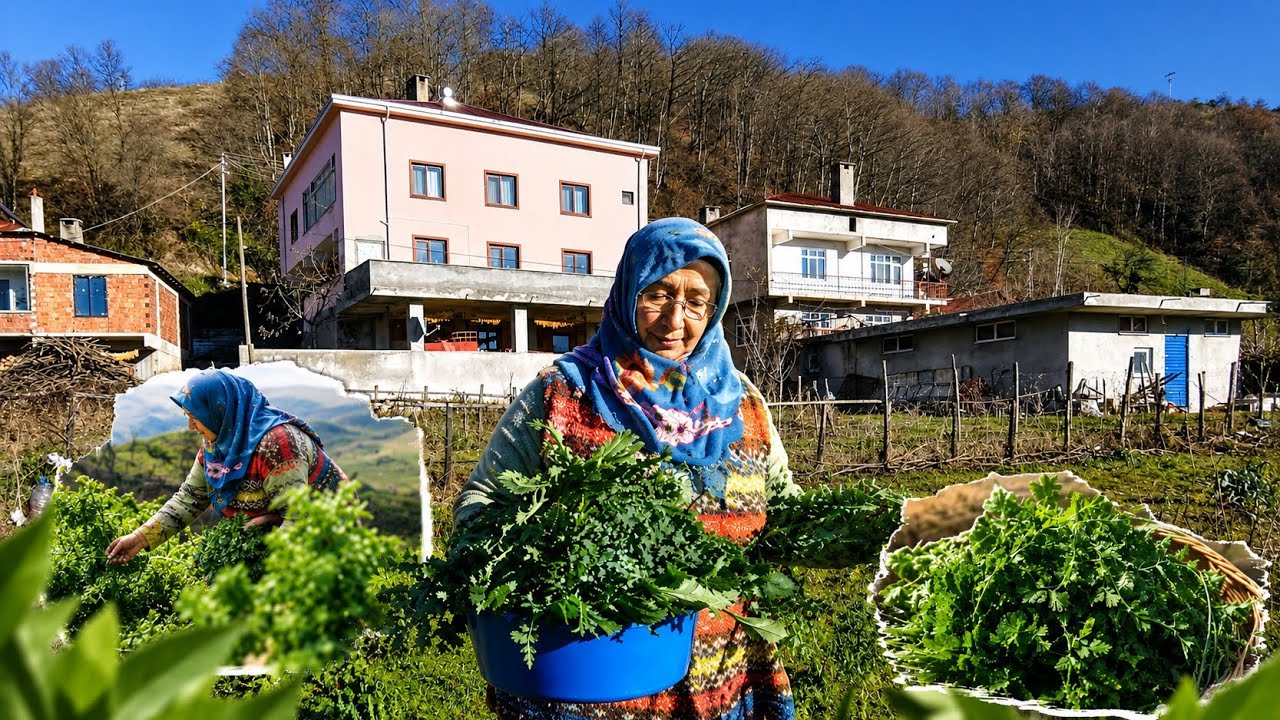 Güneşli ☀️❄️ Soğuk Günde Bahçe Turu | Topladığımız Gizli Lezzetler