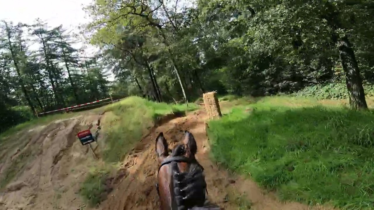 SGW Markelo 2023 B paarden