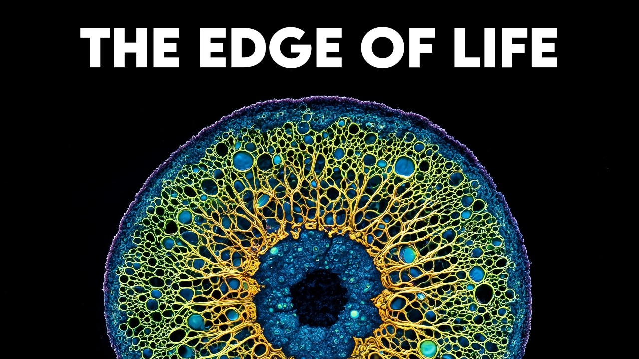 Where Does Life End and Non Life Begin?