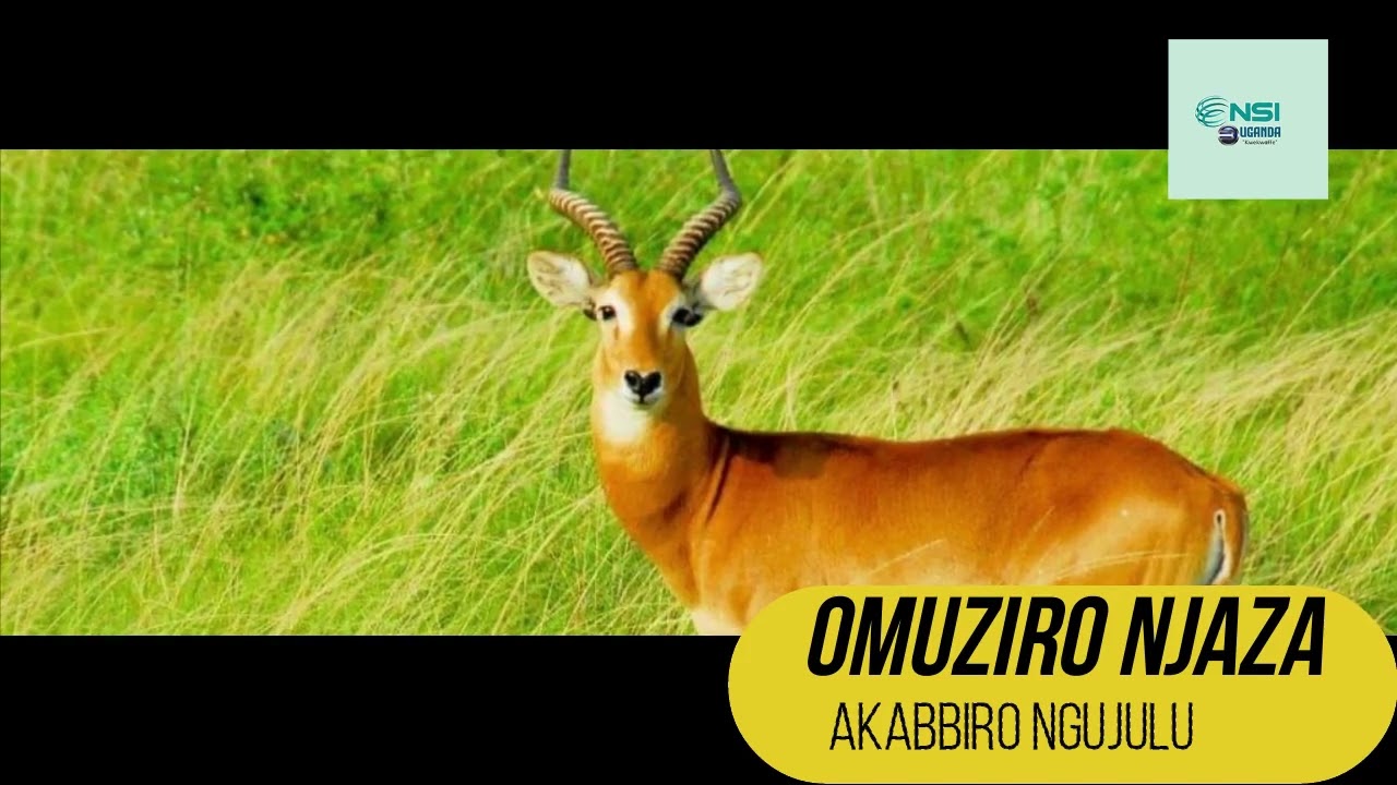 OMUZIRO NJAZA - EBEDDIRA ENJAZA