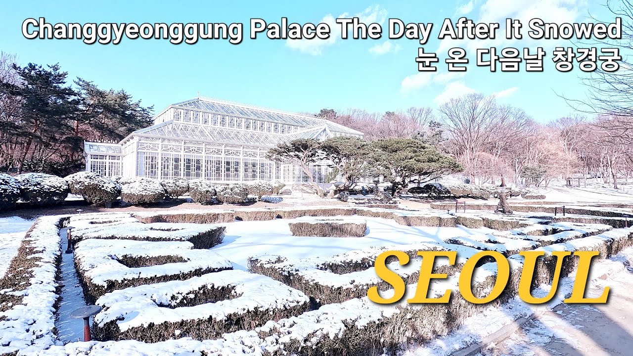 [SEOUL] Changgyeonggung Palace The Day After It Snowed / [서울] 눈 온 다음날 창경궁 / 4K