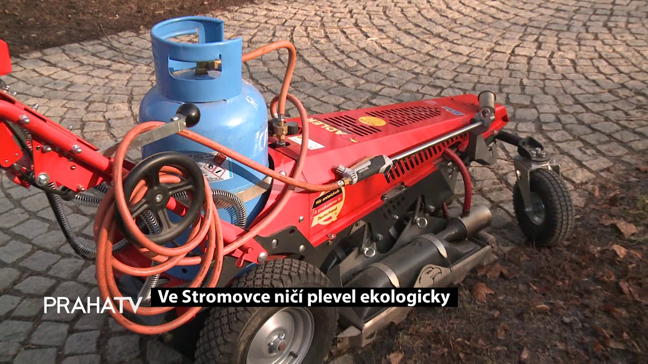 Ve Stromovce ničí plevel ekologicky