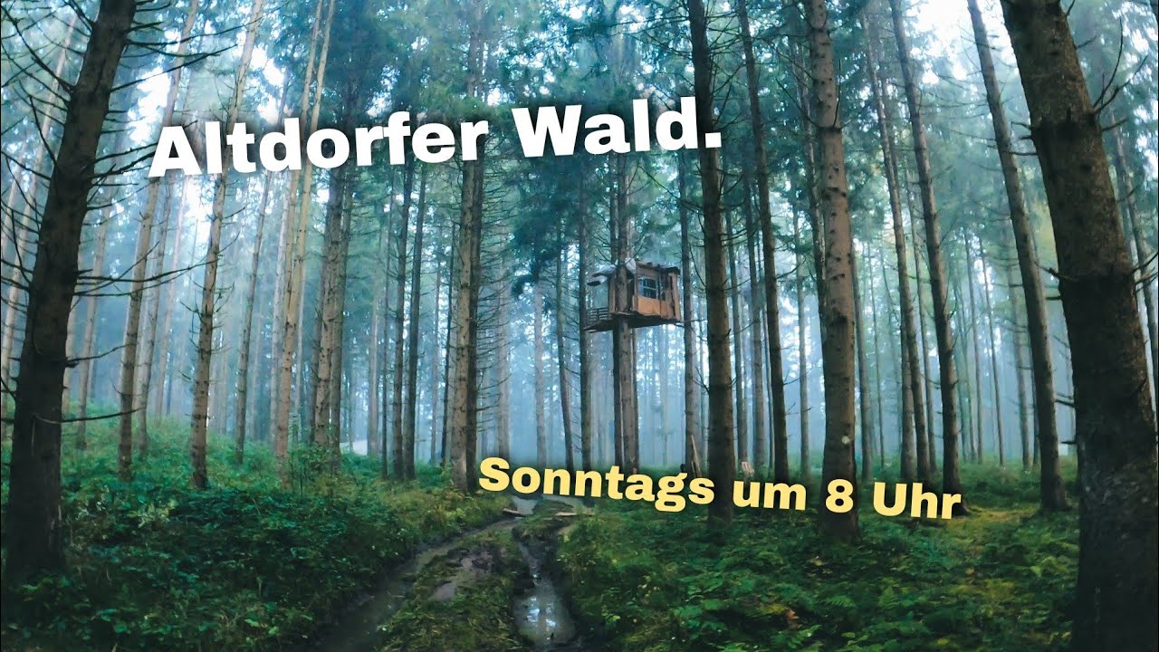 Altdorfer Wald. Unterwegs im gr&ouml;&szlig;ten zusammenh&auml;ngenden Waldgebiet Oberschwaben's