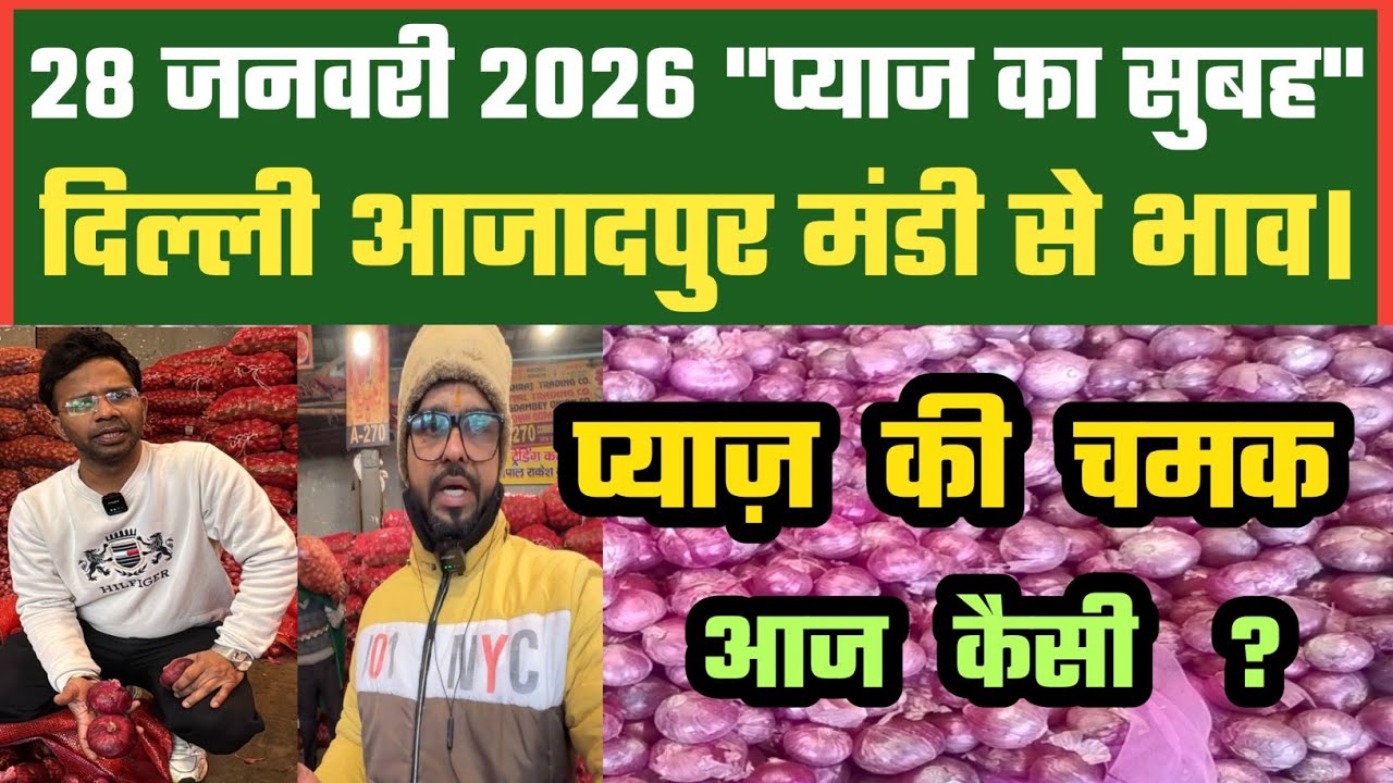 प्याज में आगे क्या ? Azadpur Delhi Mandi Today में 28-01-2026 के Onion Price DMT TV