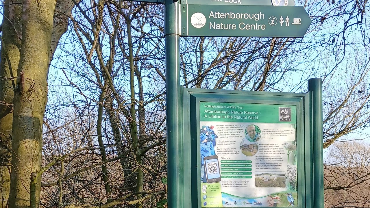 A trip to Attenborough Nature reserve