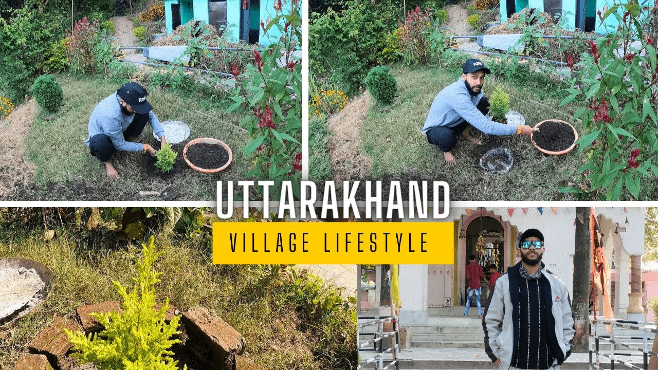 Aaj Gaon M Plant Lagaye | Village Lifestyle Vlogs | Lav Thakur Vlogs