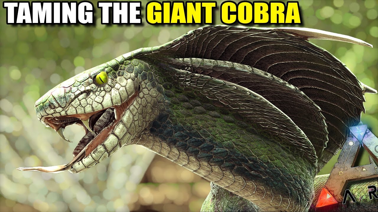 TAMING THE GIANT COBRA !! | MYTHICAL BEASTS | ARK SURVIVAL EVOLVED [S2 EP15]