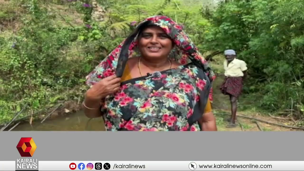 പകല്‍ചൂട് വര്‍ധിച്ചു ! മൂന്നാറില്‍  തൊഴിലാളികൾ ആശങ്കയിൽ | Increased heat in munnar