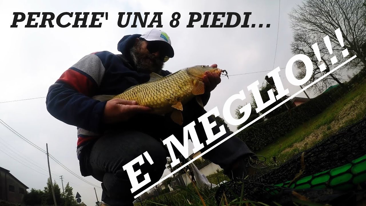 perch&egrave; una canna da 8 piedi &egrave; meglio!!! Pesca alla carpa in fosso.