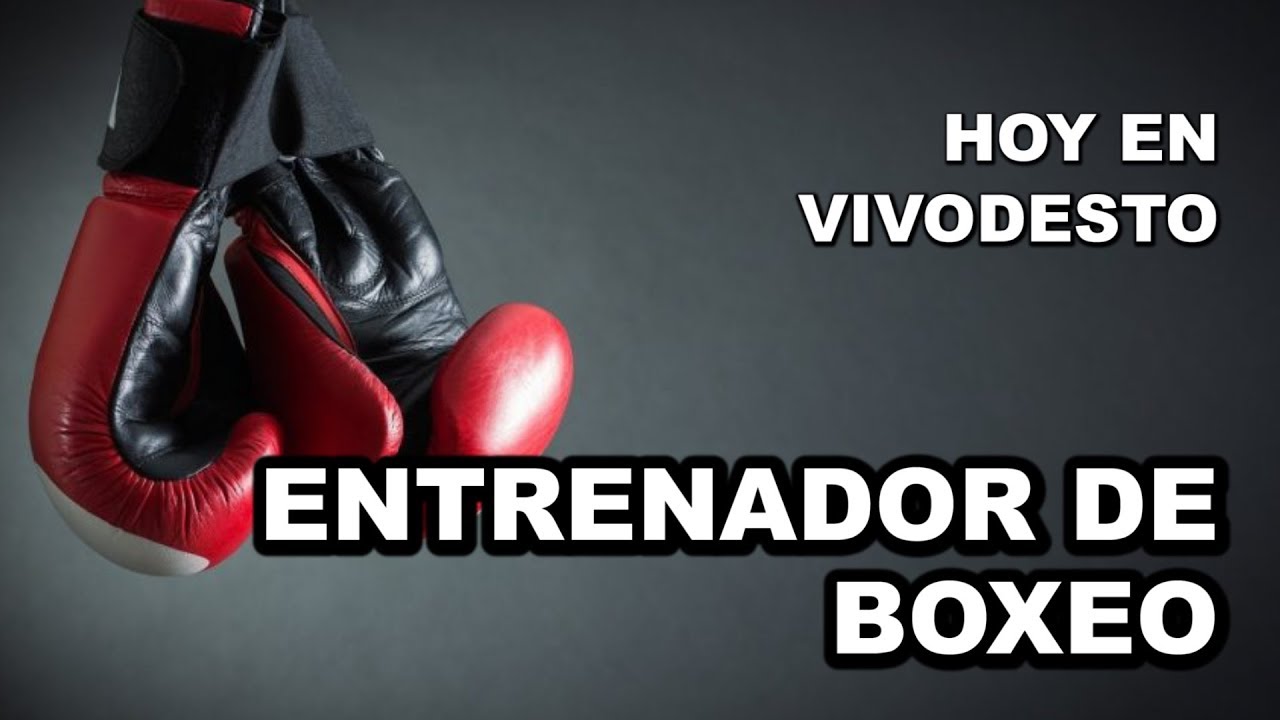 Entrenador de boxeo, aprendiendo golpe a golpe