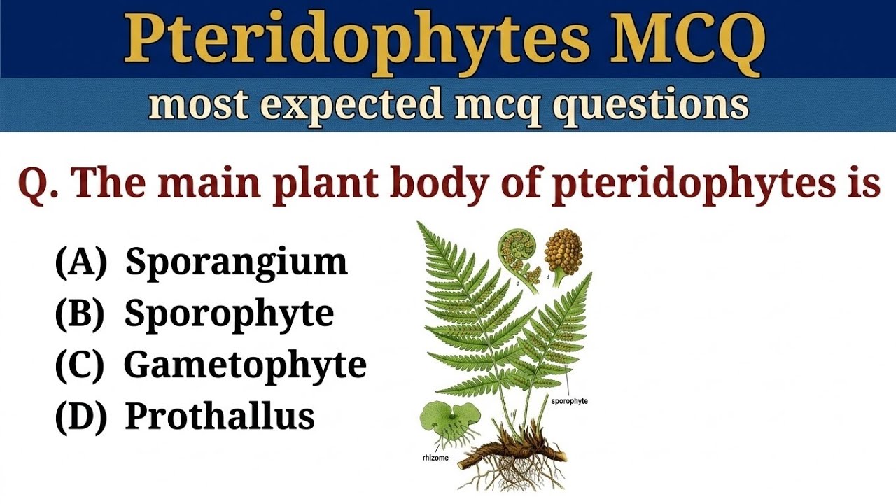 Pteridophytes MCQ | Plant Kingdom MCQ for NEET | Biology MCQ Questions