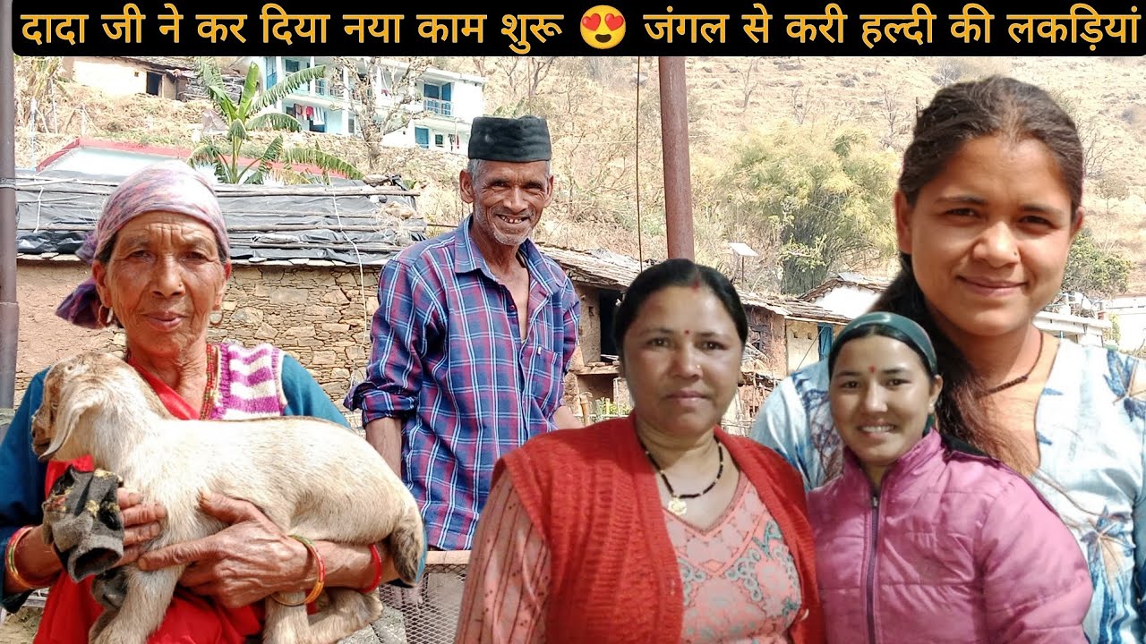जंगल से करी हल्दी की लकड़ियां 😍दादा जी ने कर दिया नया काम शुरू ♥️।।@priyanshiirwt7391 