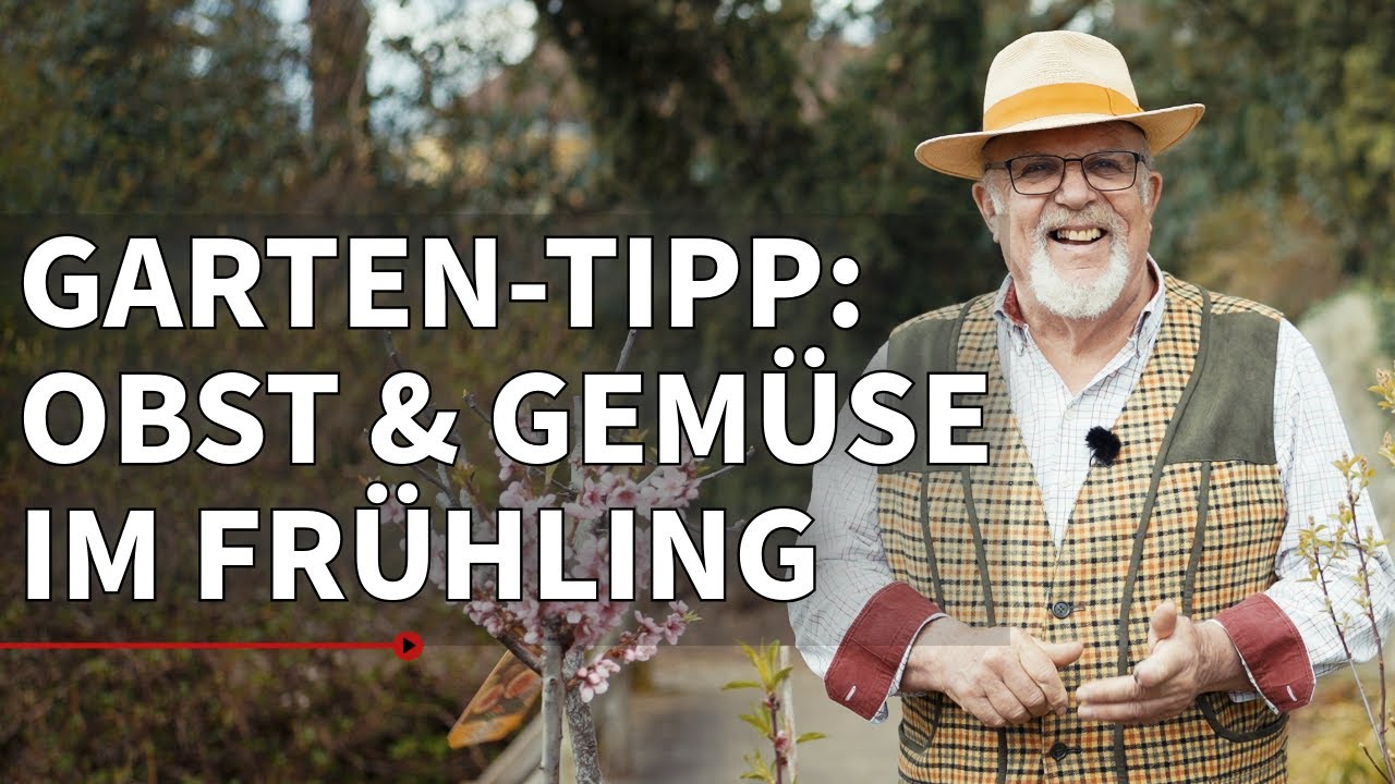 Gartentipps für den Frühling: Erdbeeren, Schnecken & Co. | Gartln mit Starkl