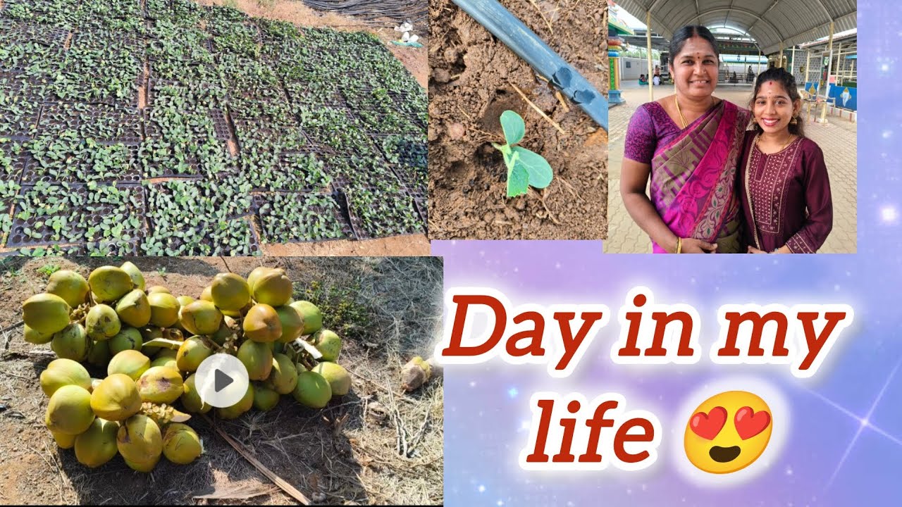 Day in my life / என் வாழ்வில் ஒரு நாள் 
