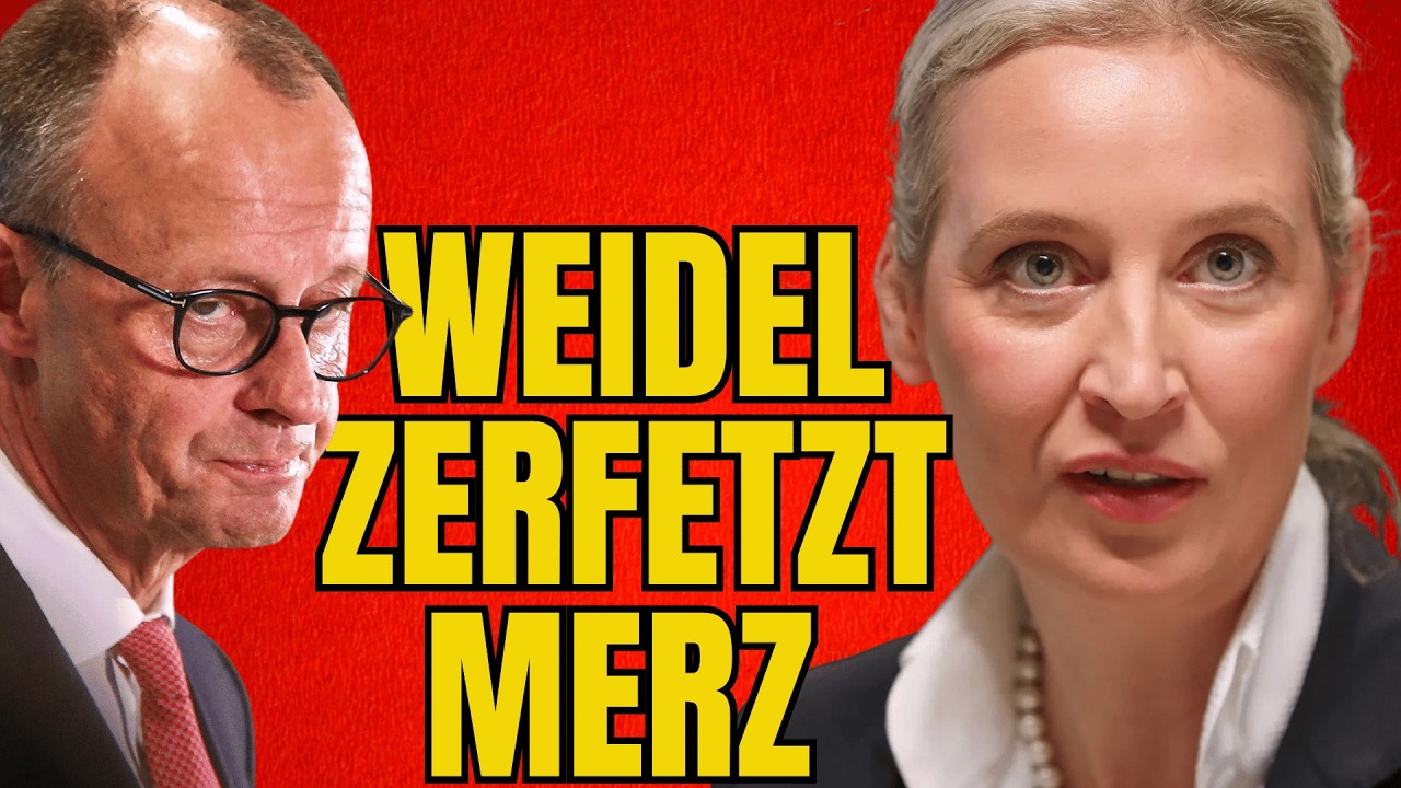 So redet eine Kanzlerin Alice Weidel AfD Spezial