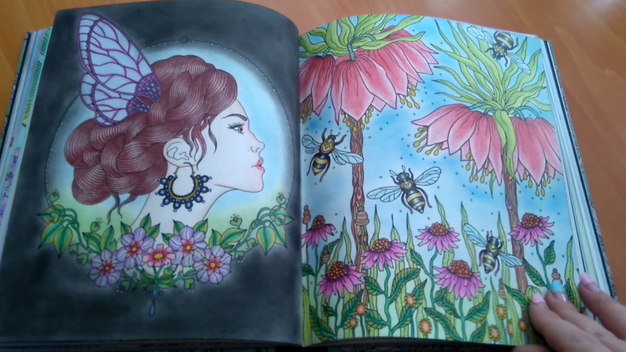 Dagdrommar complete book (Hanna Karlzon)