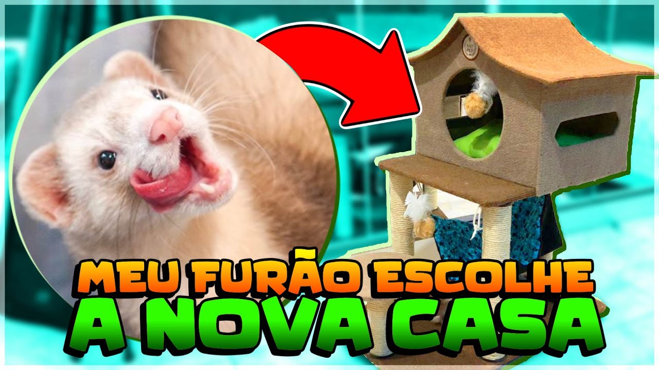 COMO É TER UM FURÃO PARTE 2