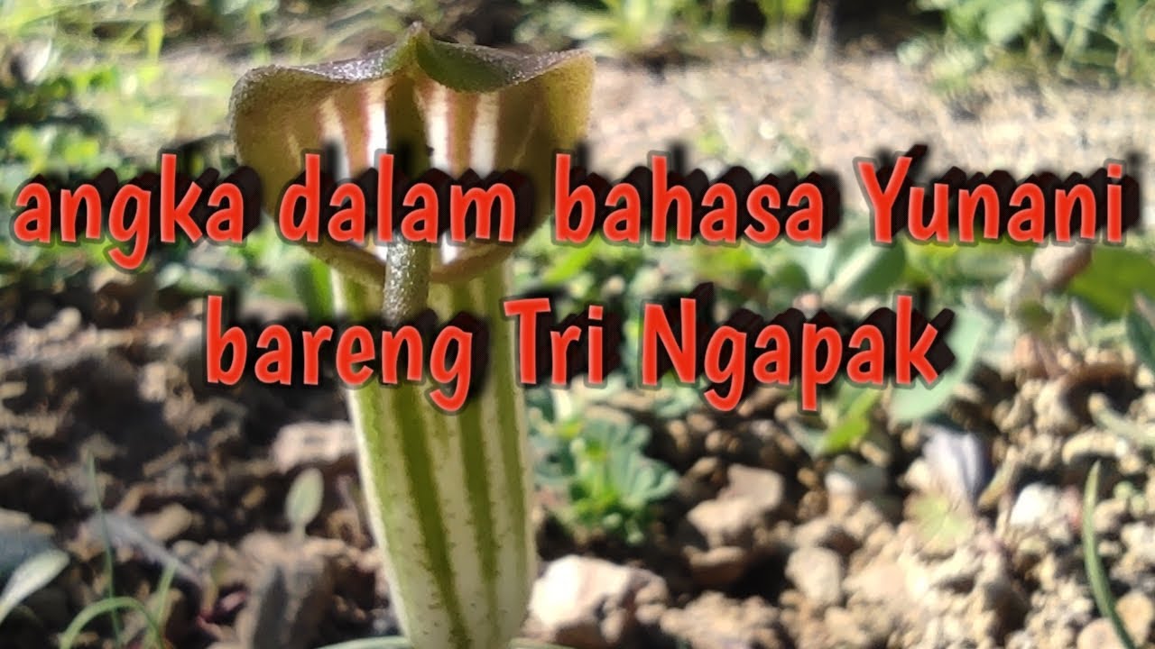 Angka dalam bahasa Yunani
