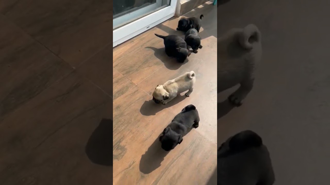 #baby