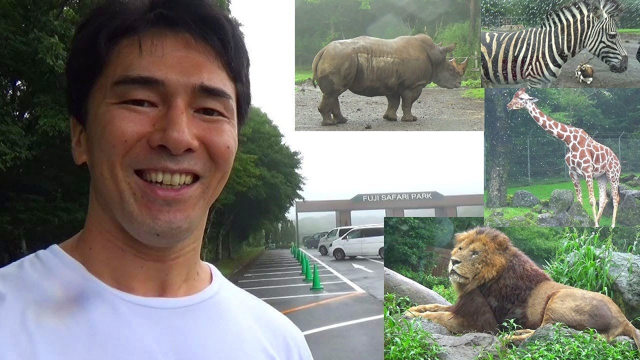 初めての富士サファリパークで近すぎちゃう動物たちに大興奮！