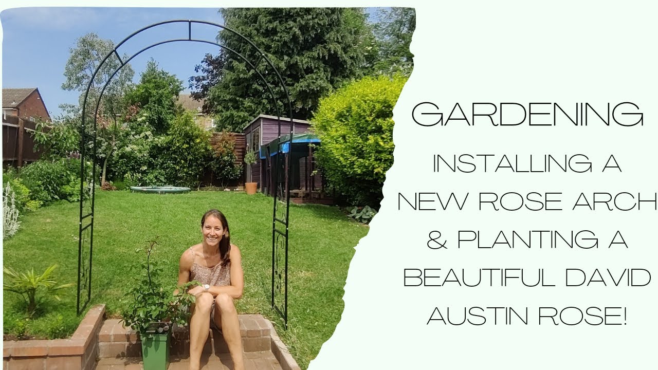 Gardening - Installing A New Rose Arch & Planting A Beautiful David Austin Rose!