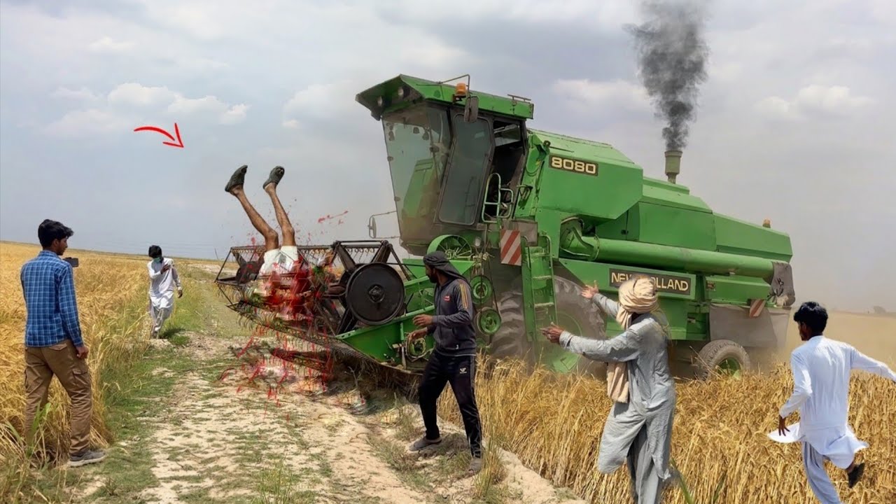 ​Combine Wheat Harvester Machine | High Capacity Grain Recovery Non Stop Field Harvest Run | 4K HD
