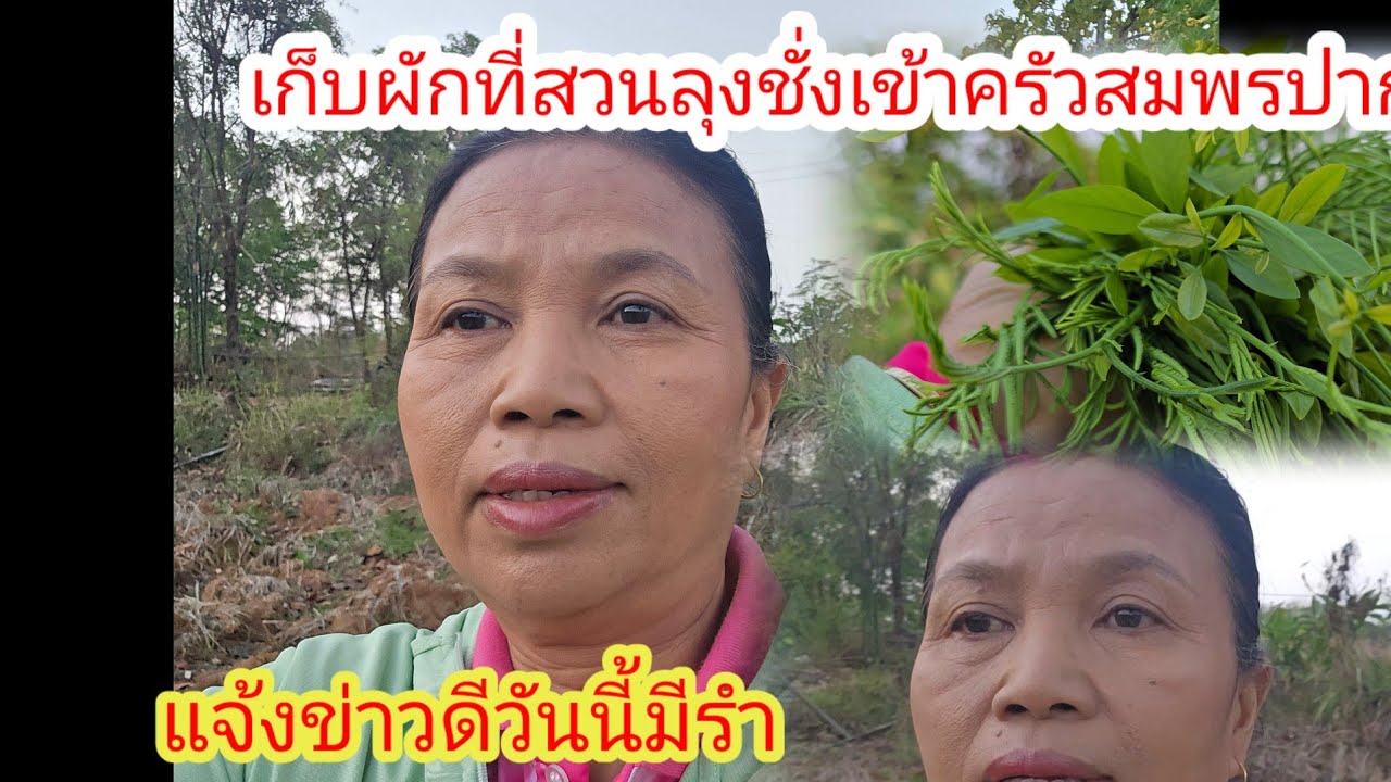 ผู้ใหญ่ใจดีเซอร์ไพรส์วันนี้มีรำ​หาอยู่หากินที่สวนลุงช่าง​