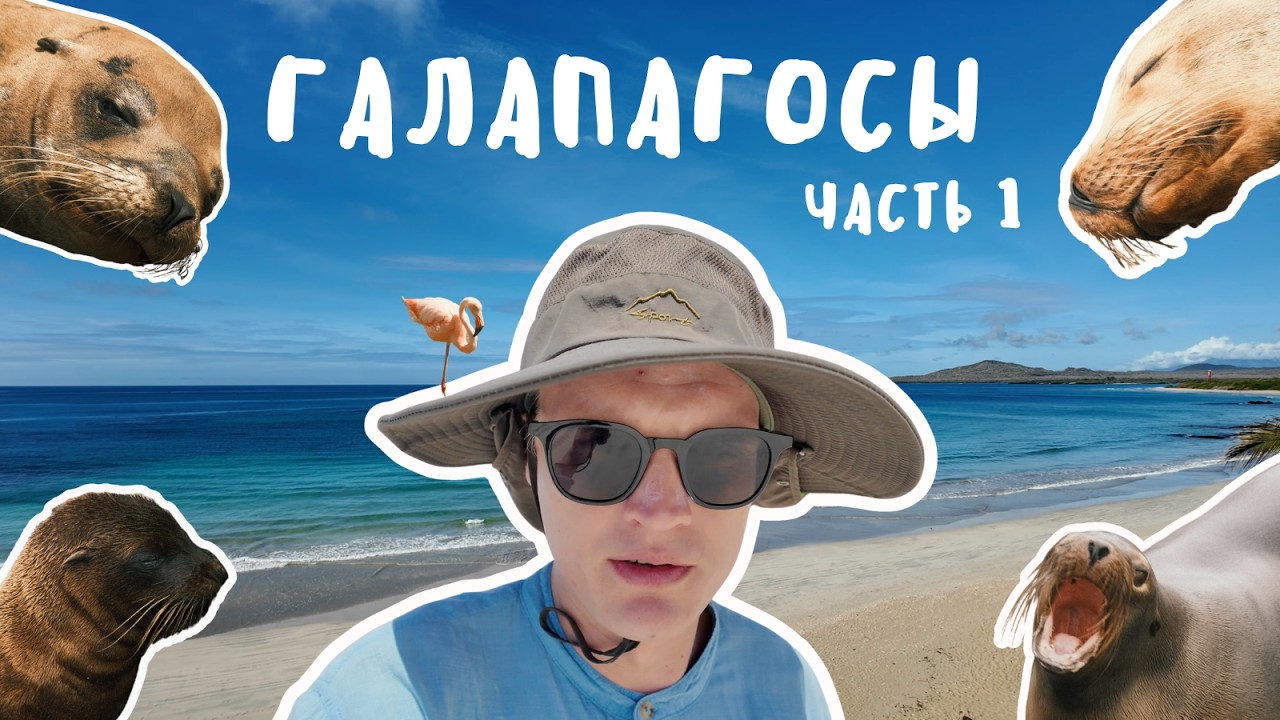 Невероятный заповедник посреди тихого океана: Галапагосские острова