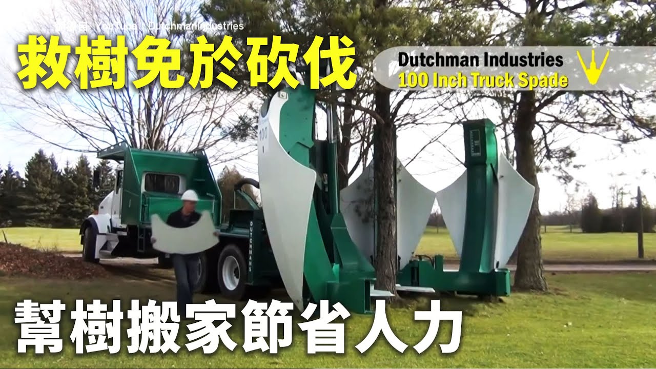 救樹免於砍伐 幫樹搬家節省人力 - 樹木移植 - 國際新聞
