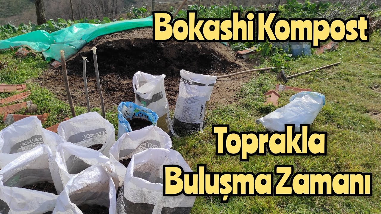 Fındık Zurufu ve Hayvan Gübresi ile Yaptığımız BOKASHİ KOMPOSTU Fındık Ocağı İle Buluşuyor