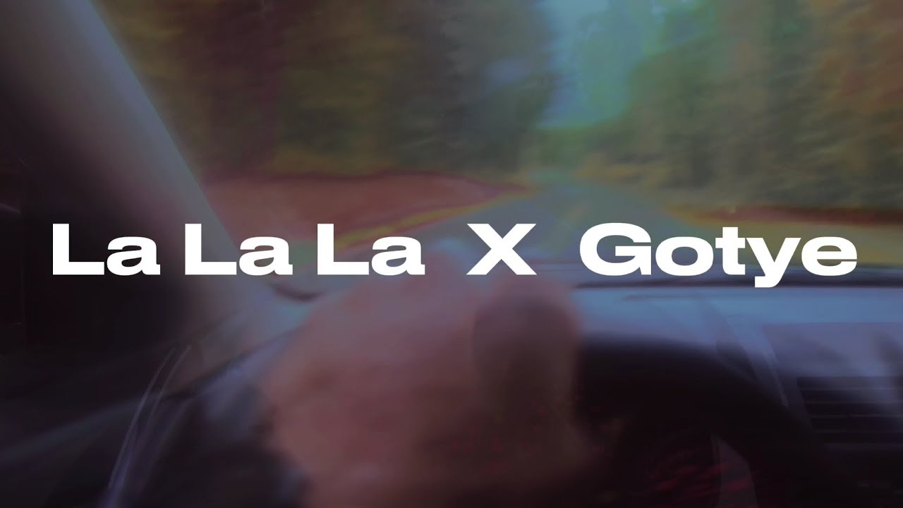 La la la X Somebody that I used to know | Electro Flip |