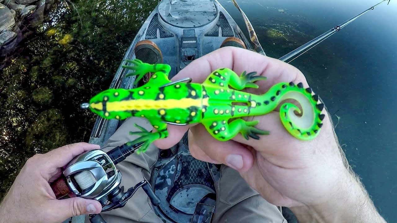 Let's See If The Fish Are Eating Lizards!