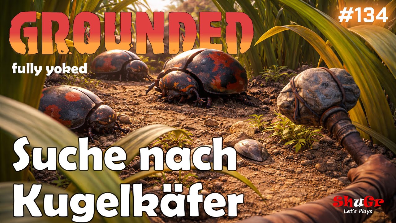 Grounded fully yoked - Suche nach Kugelkäfern | S01 E134 | COOP Let's Play #groundedcoop Deutsch