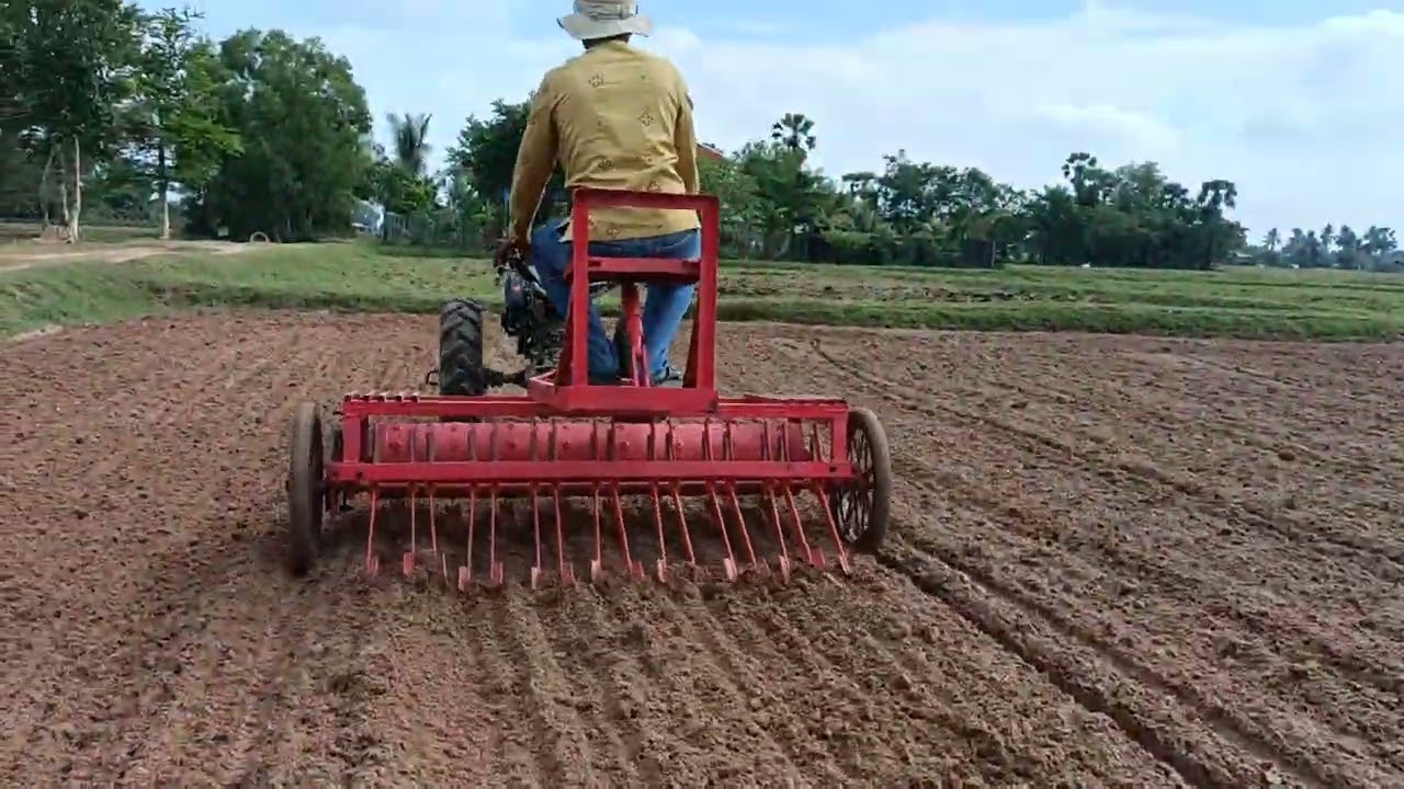 5. Weed management