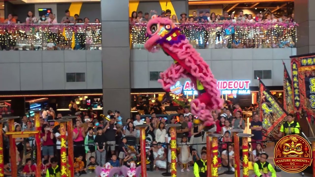 [4K] 晟洪醒狮健身院 (新代佛鹤) 🦁 舞狮 Sheng Hong High Pole Lion Dance @ Cineleisure, Orchard Singapore