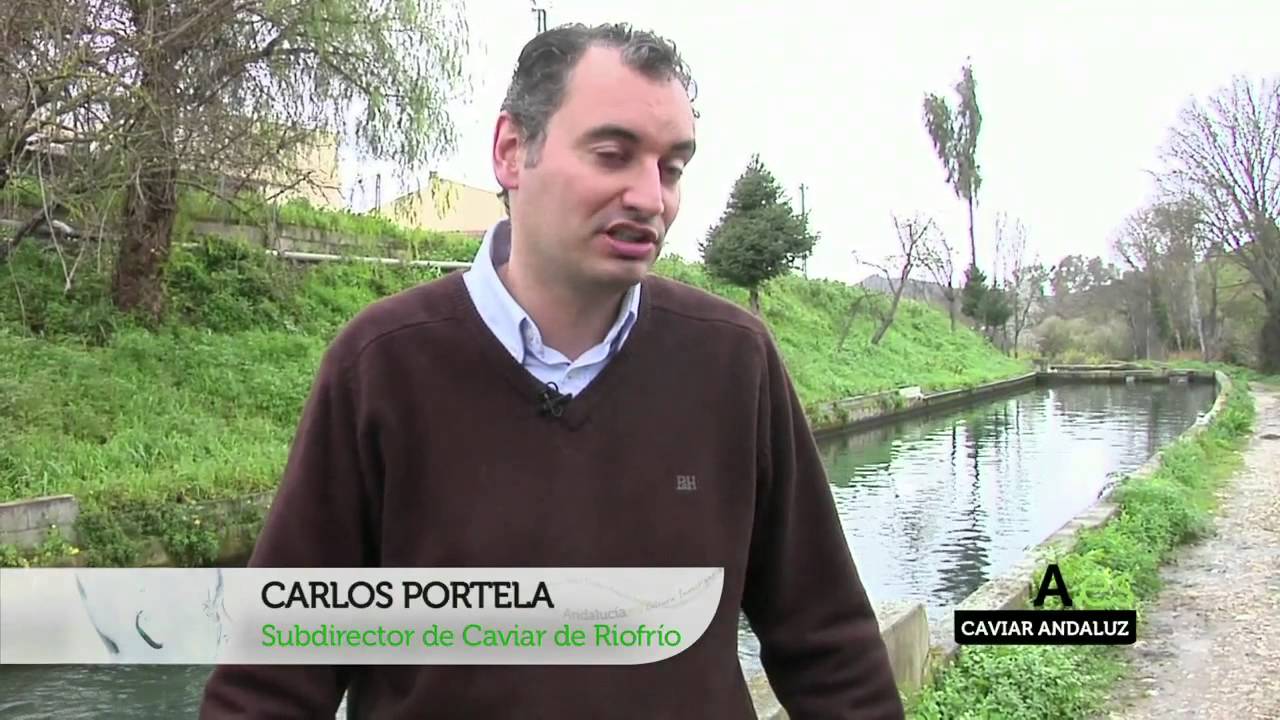 Canal Sur: Reportaje CAVIAR ECOLOGICO