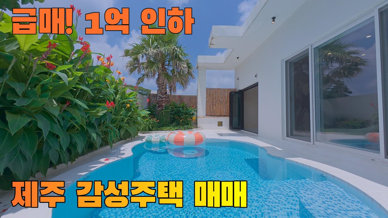급매!! 1억 인하! 실내·야외 수영장 다 갖춘 제주 감성 단독주택 최초 공개! (전속중개) 