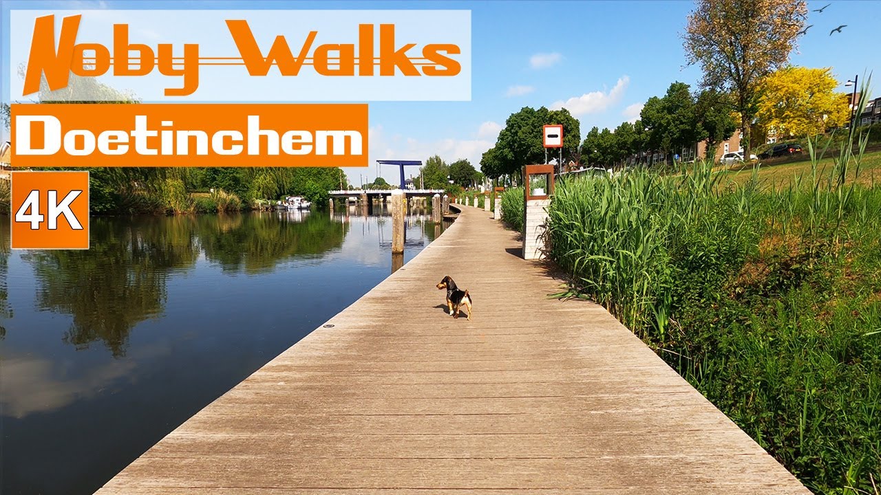 Doetinchem city walk | stadswandeling | Achterhoek | Gelderland | Netherlands | dog Noby | 4K.