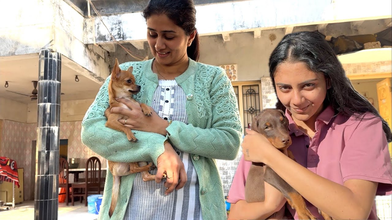 2 dogs ho gye hai ajj hamare ghar 